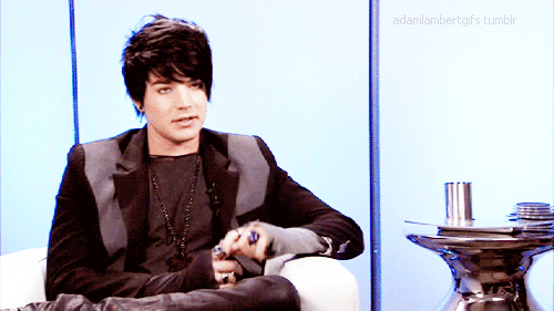 Artiesten Gifs Adam lambert pose 