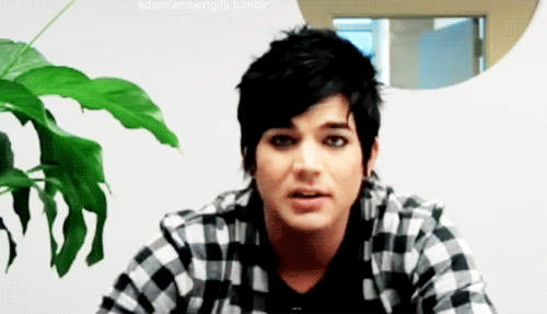 Artiesten Gifs Adam lambert 