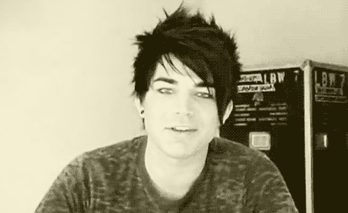 Muziek Artiesten Gifs Adam lambert 