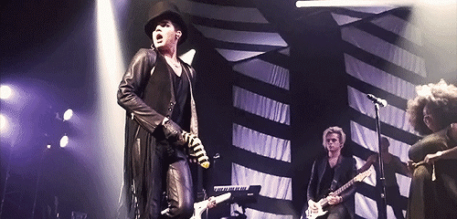 Artiesten Gifs Adam lambert 