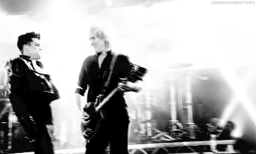 Artiesten Zanger Gifs Adam lambert american idol 