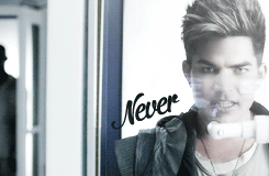 Adam Lambert GIF. Artiesten Gifs Adam lambert 