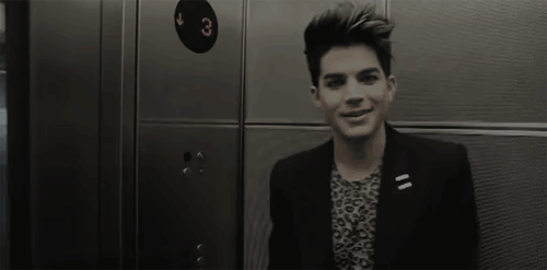 Muziek Artiesten Gifs Adam lambert 