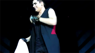Artiesten Gifs Adam lambert 
