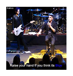 Adam Lambert GIF. Muziek Artiesten Gifs Adam lambert 