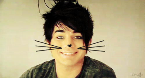Artiesten Gifs Adam lambert 