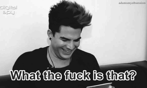 Artiesten Gifs Adam lambert 2010 glam natie tour glam natie live 