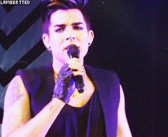Adam Lambert GIF. Interview Artiesten Gifs Adam lambert 2010 Europa 