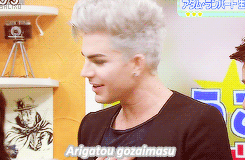Adam Lambert GIF. Muziek Artiesten Gifs Adam lambert 
