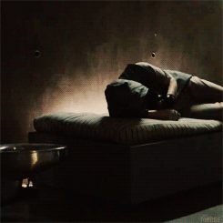 Adam Lambert GIF. Artiesten Gifs Adam lambert 