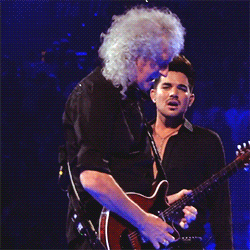 Adam Lambert GIF. Artiesten Gifs Adam lambert 
