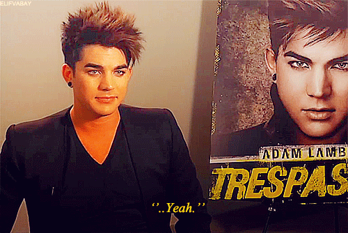 Muziek Artiesten Gifs Adam lambert 