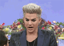 Adam Lambert GIF. Muziek Artiesten Gifs Adam lambert 