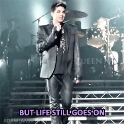 Adam Lambert GIF. Artiesten Gifs Adam lambert 