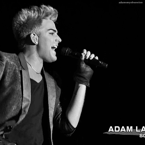 Muziek Artiesten Gifs Adam lambert 