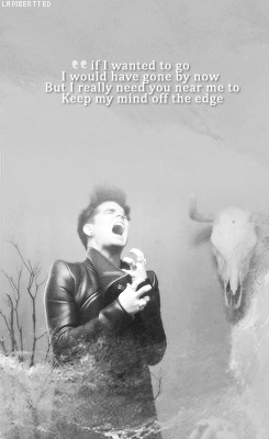 Muziek Artiesten Gifs Adam lambert 
