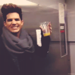 Adam Lambert GIF. Grappig Artiesten Gifs Adam lambert 