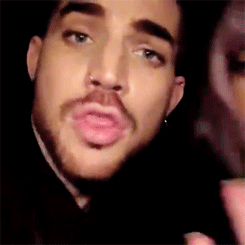 Adam Lambert GIF. Artiesten Gifs Adam lambert Glambert 