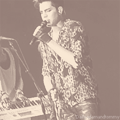 Adam Lambert GIF. Artiesten Gifs Adam lambert Pose 