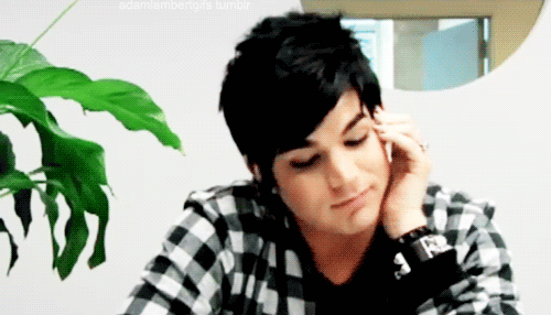 Artiesten Gifs Adam lambert 