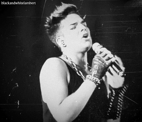 Muziek Artiesten Gifs Adam lambert 