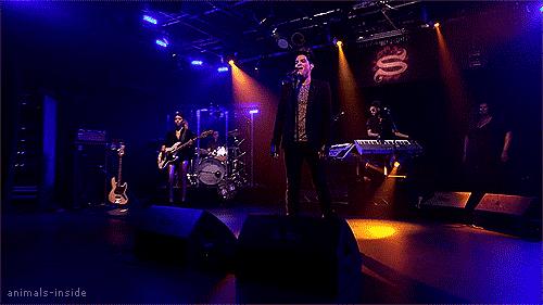 Artiesten Gifs Adam lambert 