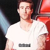 Maroon 5 GIF. Artiesten Gifs Adam levine Maroon 5 Maroon 5 concert 