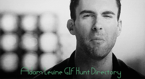 Artiesten Gifs Adam levine reactie 