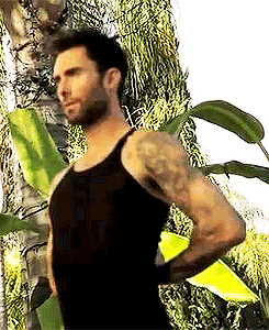 Adam Levine GIF. Artiesten Gifs Adam levine The voice 