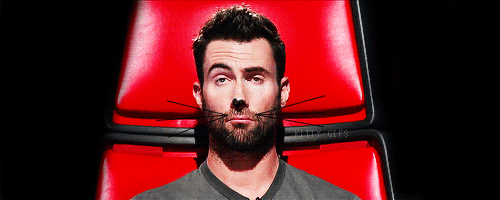 Artiesten Kat Sexy Gifs Adam levine aanbiddelijk miauw 