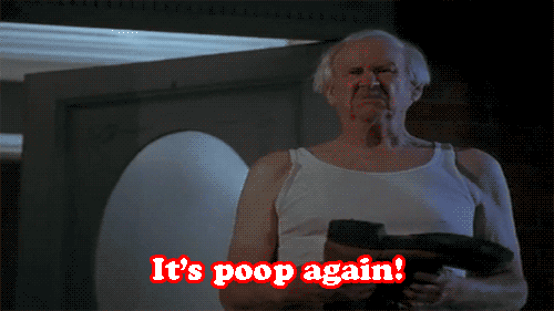 Gifs Filmsterren Adam sandler billy madison norm macdonald 
