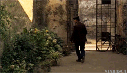 The Godfather GIF. Bioscoop Film Films en series The godfather Gifs Filmsterren Al pacino Michael corleone 