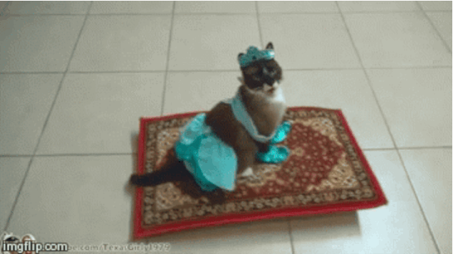 Disney Aladdin Films en series Gifs 