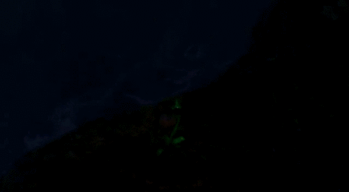 Disney Aladdin Films en series Gifs reactie genie 