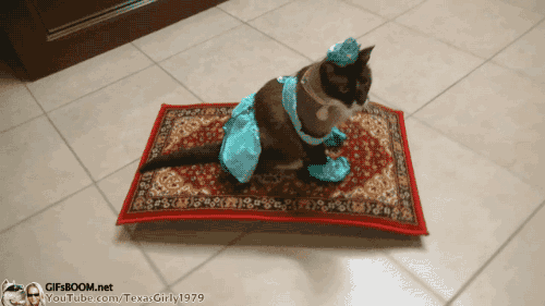 Disney Aladdin Films en series Gifs pons gevecht geest 