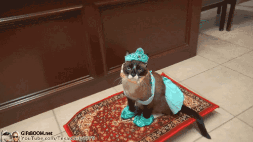 Disney Aladdin Liefde Films en series Gifs lachend kwaad samenspel Jafar 