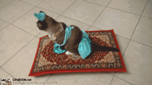 Disney Aladdin Films en series Jasmijn Kus Gifs een hele nieuwe wereld 