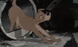 Alec Baldwin GIF. Gifs Filmsterren Alec baldwin 30 rock Jack donaghy Liz lemon 