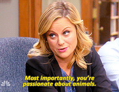 Amy Poehler GIF. Grappig Artiesten Taylor swift Gifs Filmsterren Amy poehler Wenk Golden globes 