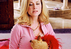 Amy Poehler GIF. Film Mean girls Gifs Filmsterren Amy poehler 