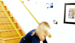 Amy Poehler GIF. Boos Gifs Filmsterren Amy poehler Sterven Parks and recreation Leslie knope 