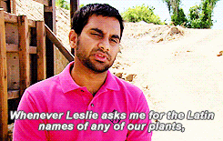 Amy Poehler GIF. Mode Tv Gifs Filmsterren Amy poehler Stijl Parks and recreation Leslie knope Sletterig 