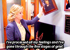 Amy Poehler GIF. Gifs Filmsterren Amy poehler Rashida jones 