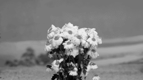 Andrew Garfield GIF. Gifs Filmsterren Andrew garfield Zoet Flores 