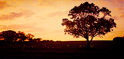 Andrew Garfield GIF. Gifs Filmsterren Andrew garfield 