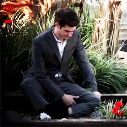 Andrew Garfield GIF. Gifs Filmsterren Andrew garfield 