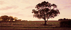 Andrew Garfield GIF. Gifs Filmsterren Andrew garfield Laat me nooit los 