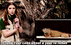 Anna Kendrick GIF. Gifs Filmsterren Anna kendrick 