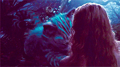 Anne Hathaway GIF. Gifs Filmsterren Anne hathaway 