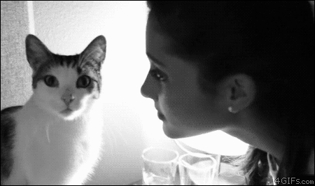 Artiesten ariana grande Gifs 